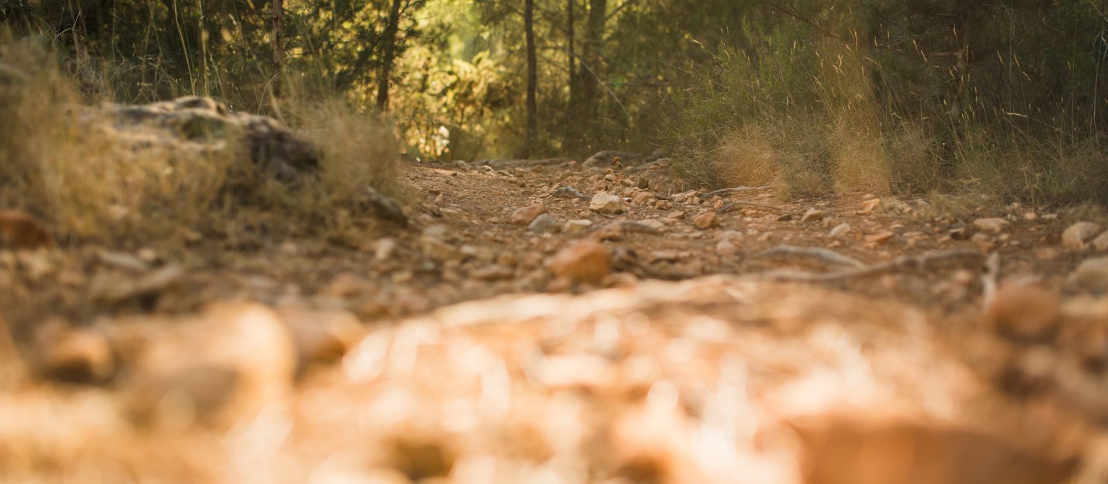 Path along the Ibiza sea